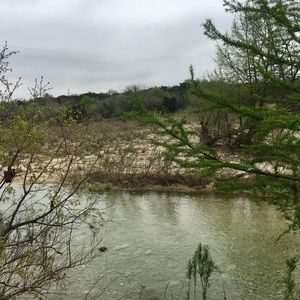 Meet your Posher, Ginger